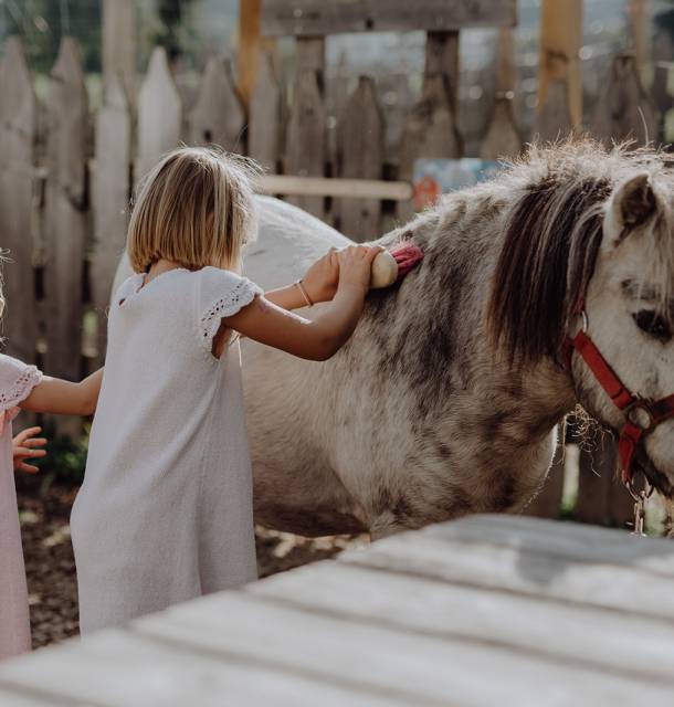 Mehr zu Kids & Family